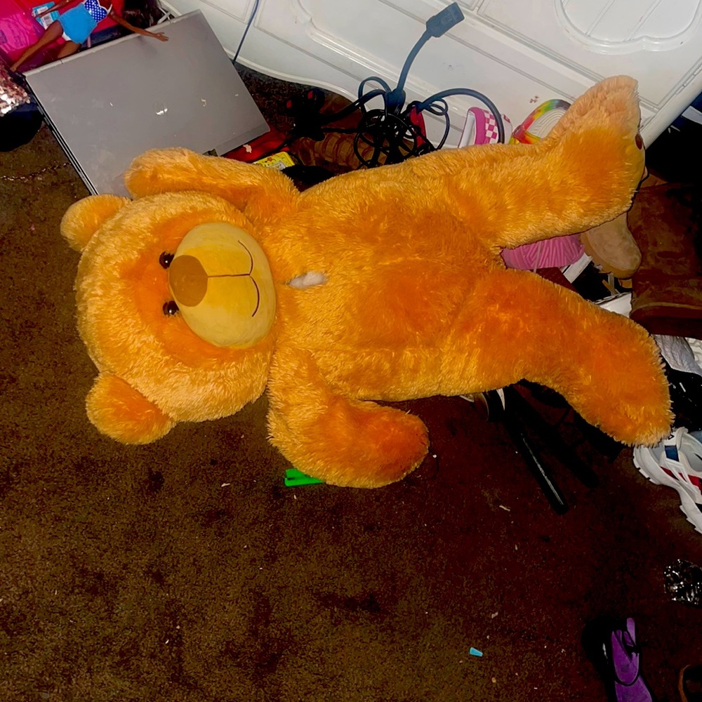 Teddy Zillow